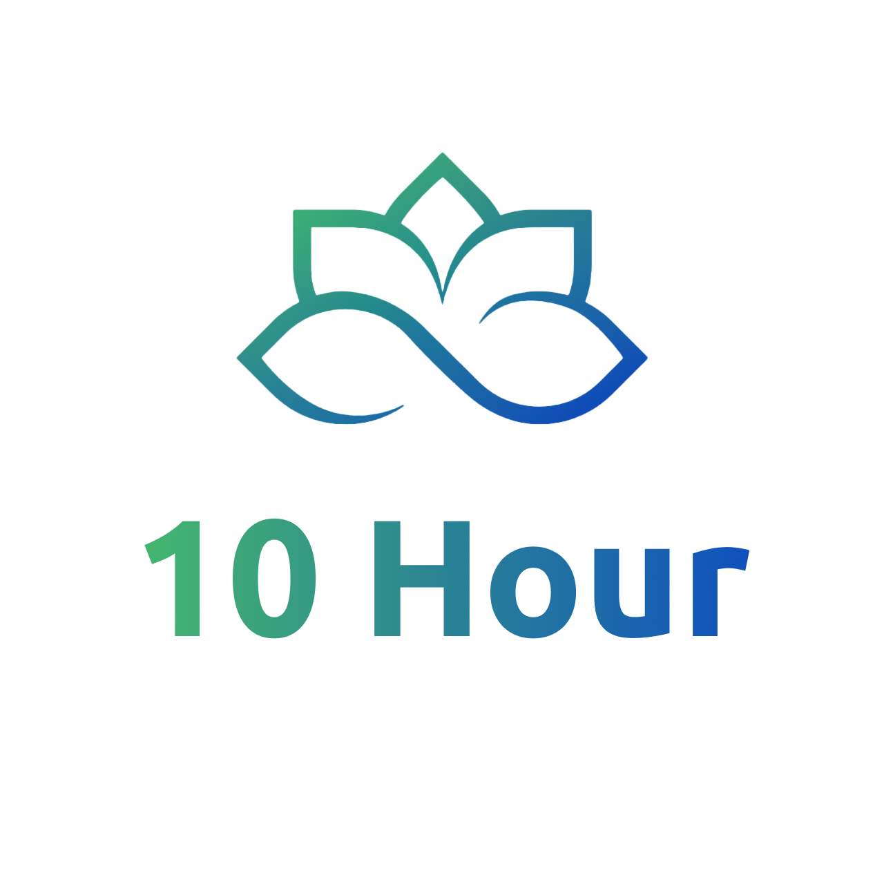 10 Hour Consultation-Growth