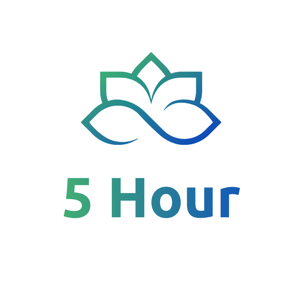 5 Hour Consultation-Growth